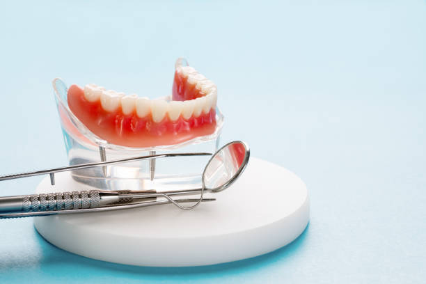 Best Emergency Dental Care  in South Browning, MT